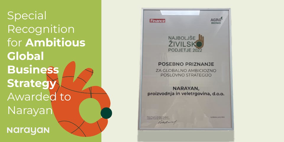 Special Recognition for Ambitious Global Business Strategy Awarded to Narayan